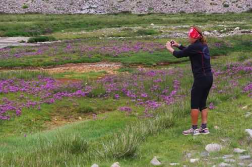 TREKKING IN LADAKH | CHANGTANG 2017